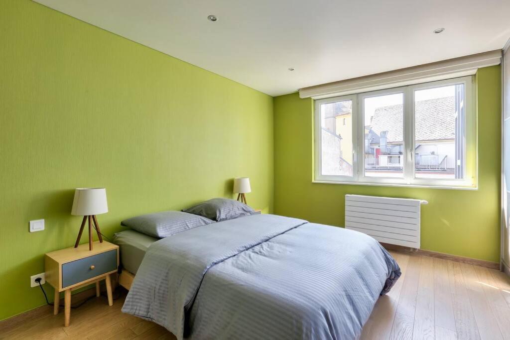 Appartement Spacieux Au Coeur De Strasbourg Bagian luar foto